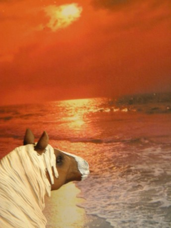 Jeniffer čeká na svého prince.